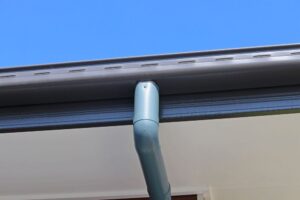 Signs You Have Tree Roots in Your Pipe & How to Remove Them